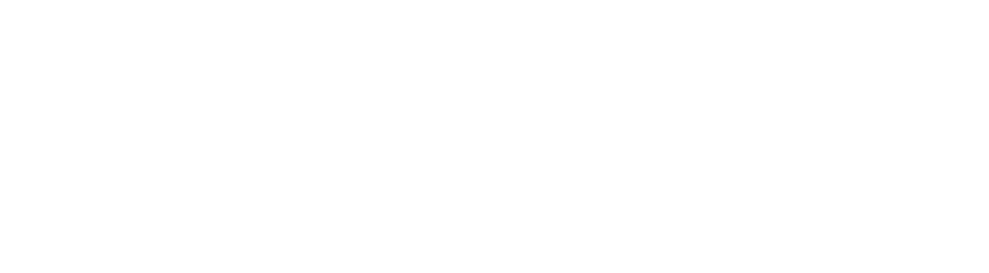 TOP EXPERIENCE
